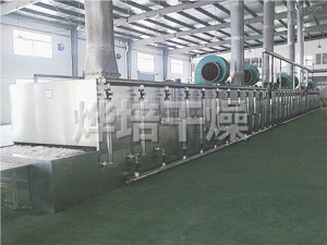 DW单层带式干燥机