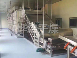 DW多层带式干燥机