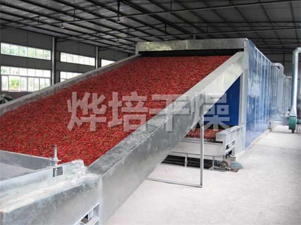 DWC系列脱水蔬菜带式干燥机