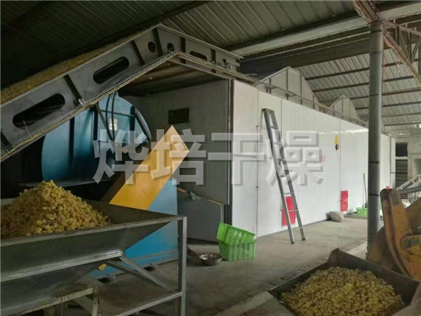 DWC系列脱水蔬菜带式干燥机