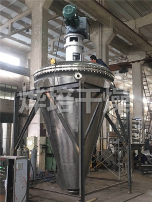 GLZ系列螺带真空干燥机